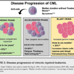 accelerated phase chronic myelocytic leukemia