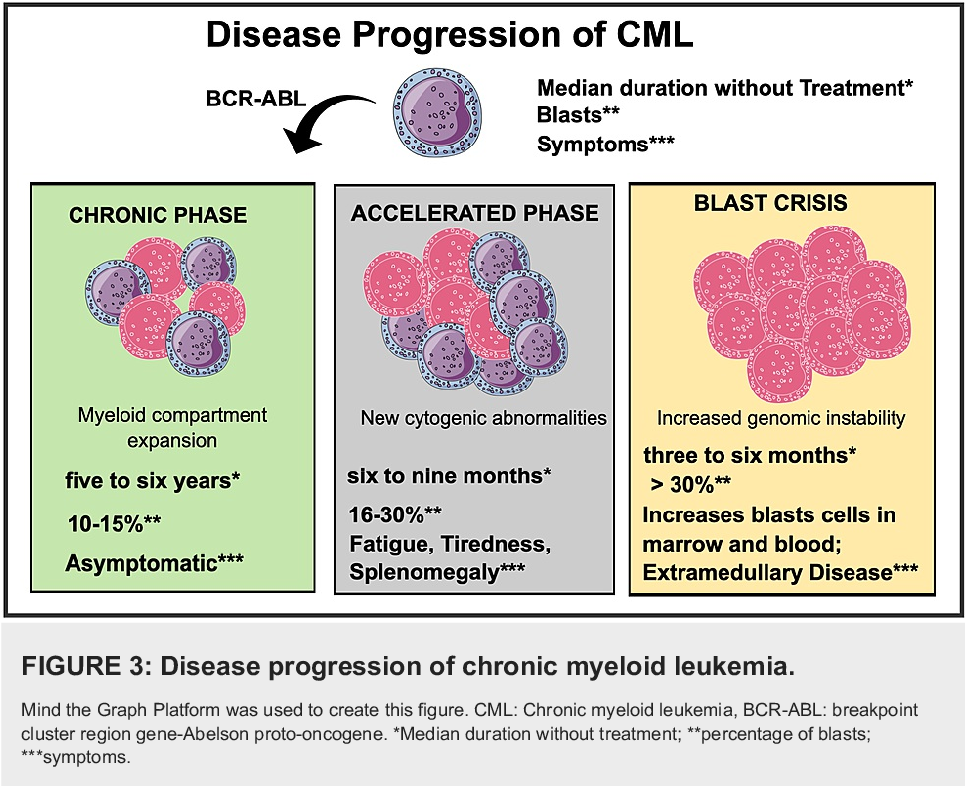 accelerated phase chronic myelocytic leukemia