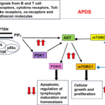 Activated Phosphoinositide 3-Kinase Delta Syndrome