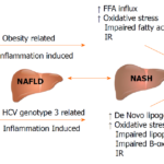 chronic hepatitis c - genotype 3