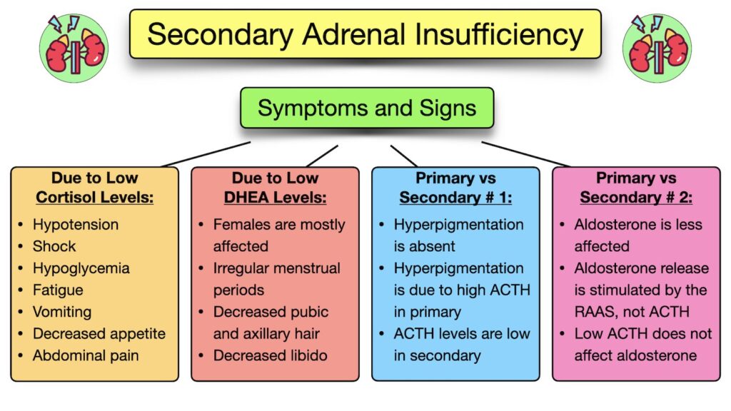 acute adrenocortical insufficiency