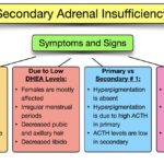 acute adrenocortical insufficiency