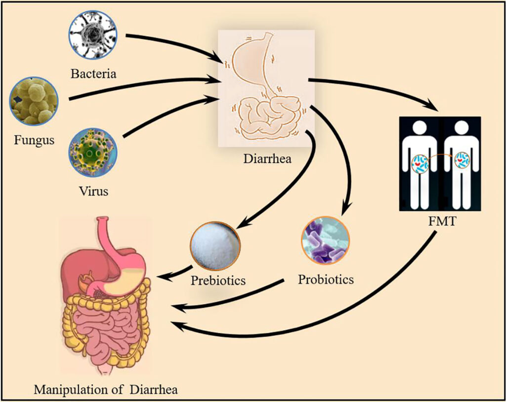 bacterial diarrhea