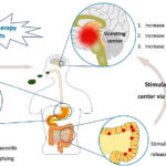 cancer chemotherapy-induced nausea and vomiting