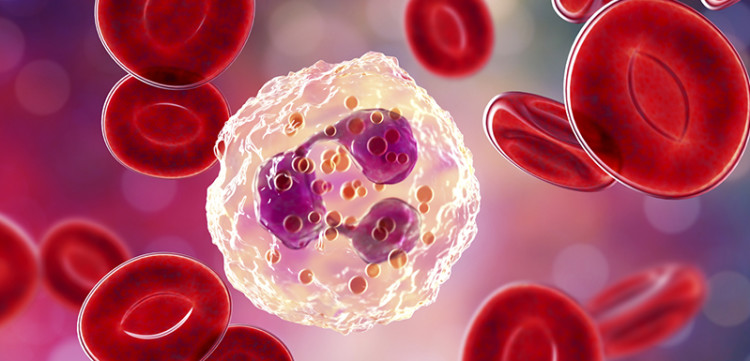 chemotherapy-induced neutropenia