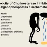 cholinesterase inhibitors toxicity