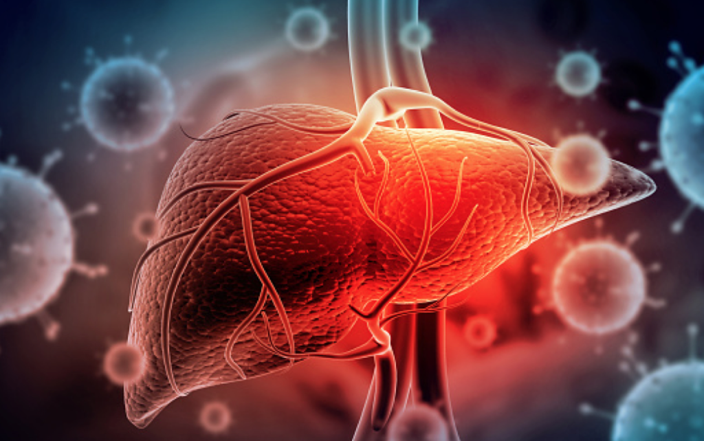 chronic hepatitis b