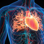 chronic thromboembolic pulmonary hypertension