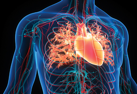 chronic thromboembolic pulmonary hypertension