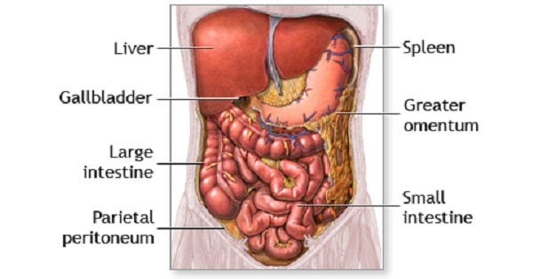 clostridium peritonitis