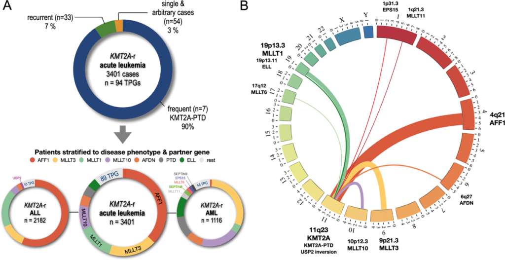 Acute Leukemia With Lysine Methyltransferase 2a Gene (Kmt2a) Translocation