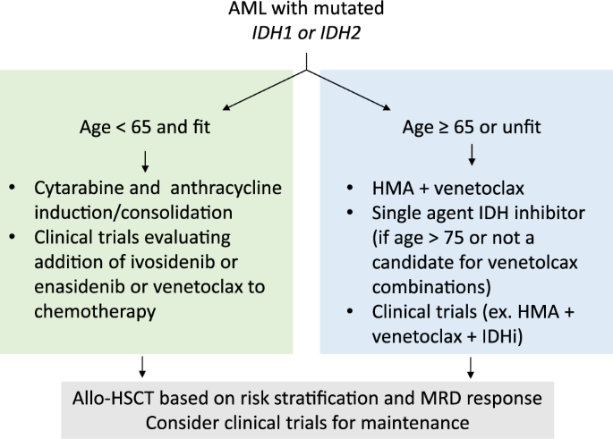 Acute Myeloid Leukemia with Isocitrate Dehydrogenase-2 (IDH2) Mutation