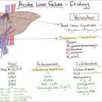 acute hepatic failure