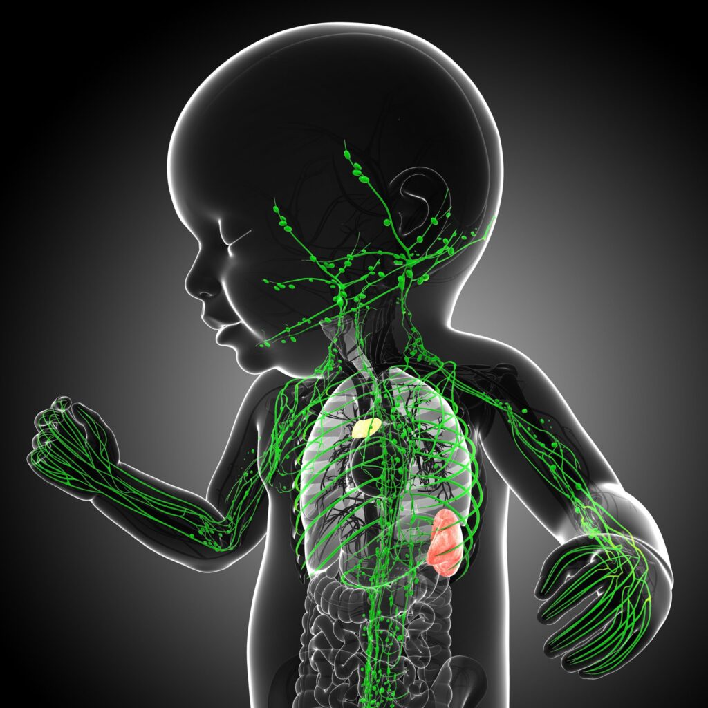 congenital athymia