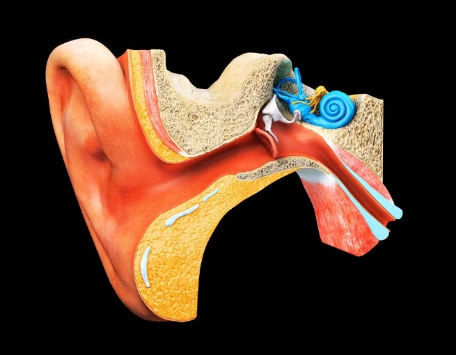 controlled hypotension