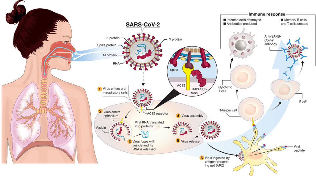 covid-19 post-exposure prophylaxis (eua)