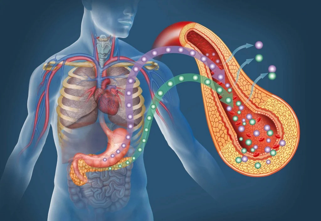 diabetes mellitus