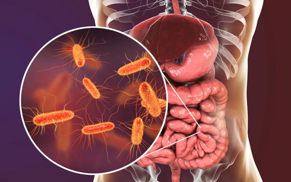 diarrhea due to e. coli