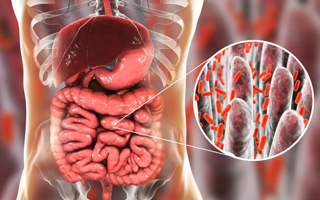 diarrhea predominant irritable bowel syndrome