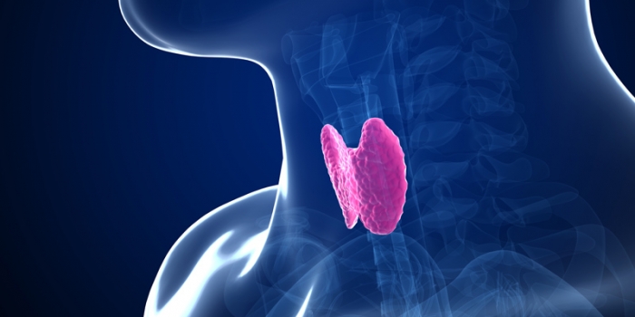 differentiated thyroid carcinoma