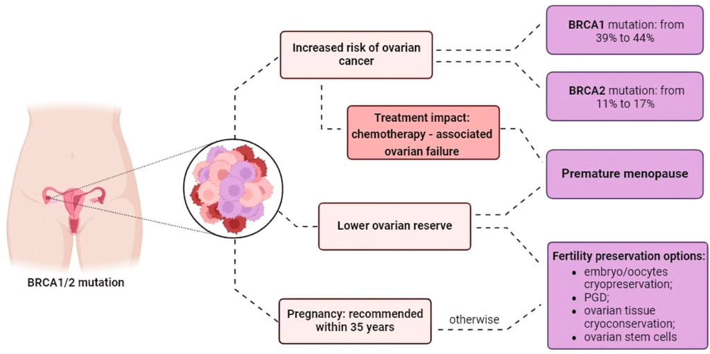 epithelial ovarian cancer with brca mutation