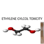 ethylene glycol toxicity