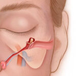 eustachian tube congestion