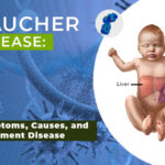 gaucher's disease