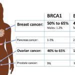 germline brca mutated, her2 negative breast cancer