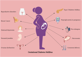 gestational diabetes mellitus