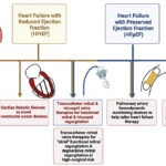 heart failure with reduced ejection fraction due to dilated cardiomyopathy