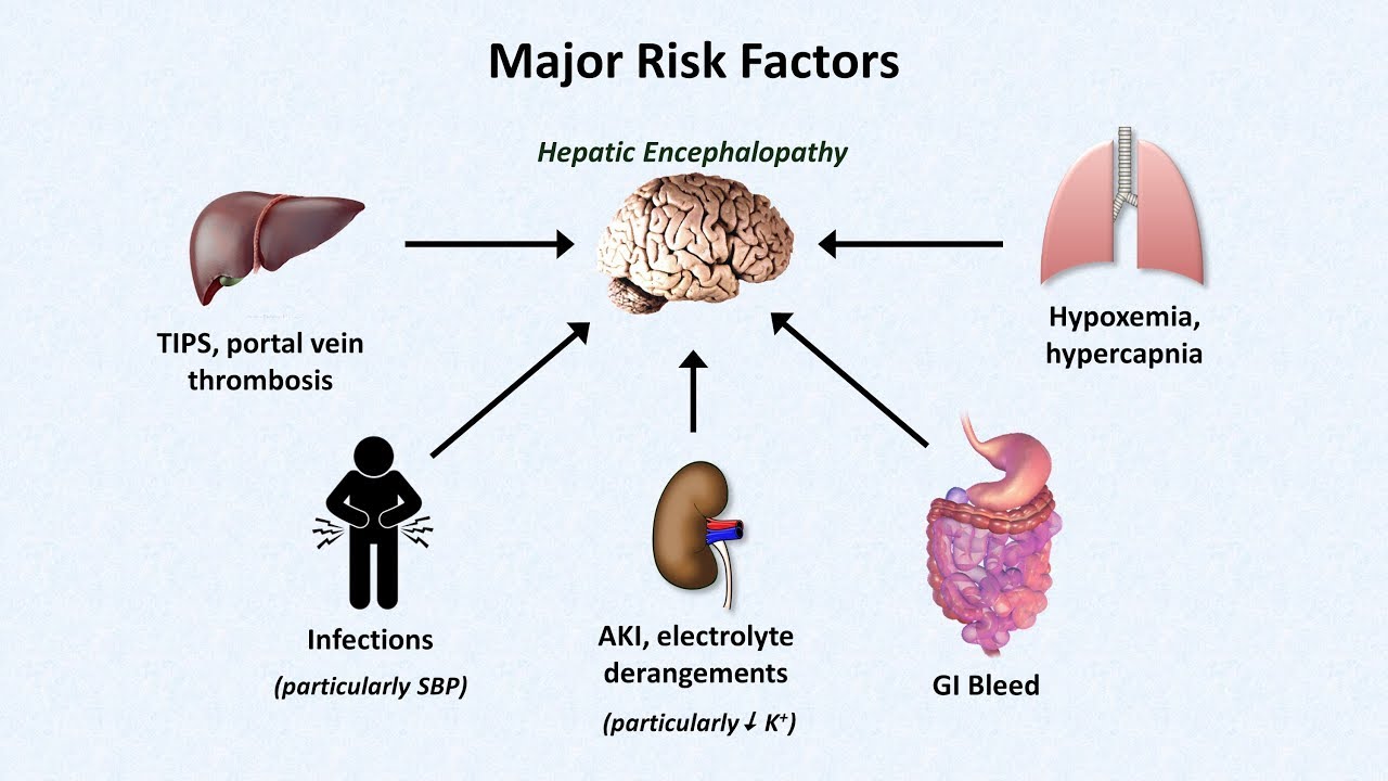 hepatic coma