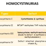 homocystinuria type i