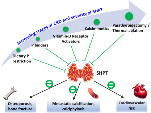 hyperparathyroidism secondary to chronic renal failure