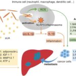 hyperuricemia due to cancer therapy