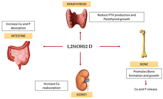 hypocalcemia from end-stage renal disease with dialysis