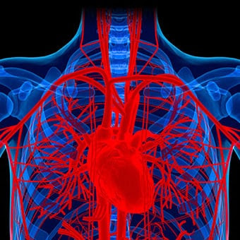 hypotension due to distributive shock