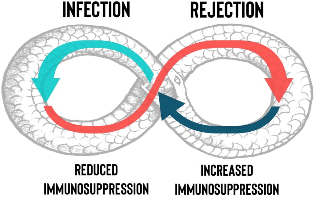 immunosuppression induction therapy for lung transplantation