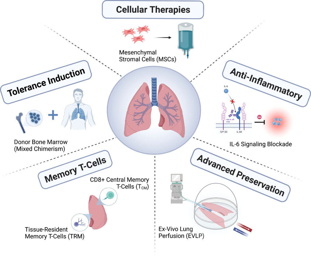 immunosuppression maintenance therapy for lung transplantation