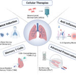 immunosuppression maintenance therapy for lung transplantation