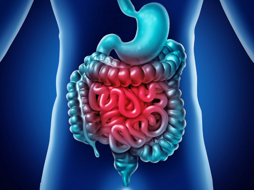 infectious disease of abdomen