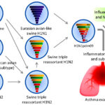 influenza a (h1n1 subtype) vaccination