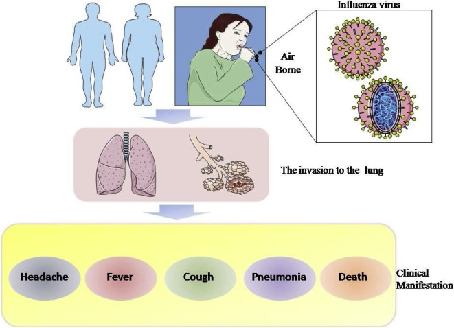 influenza due to influenza virus type a