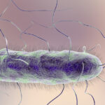 proteus mirabilis urinary tract infection
