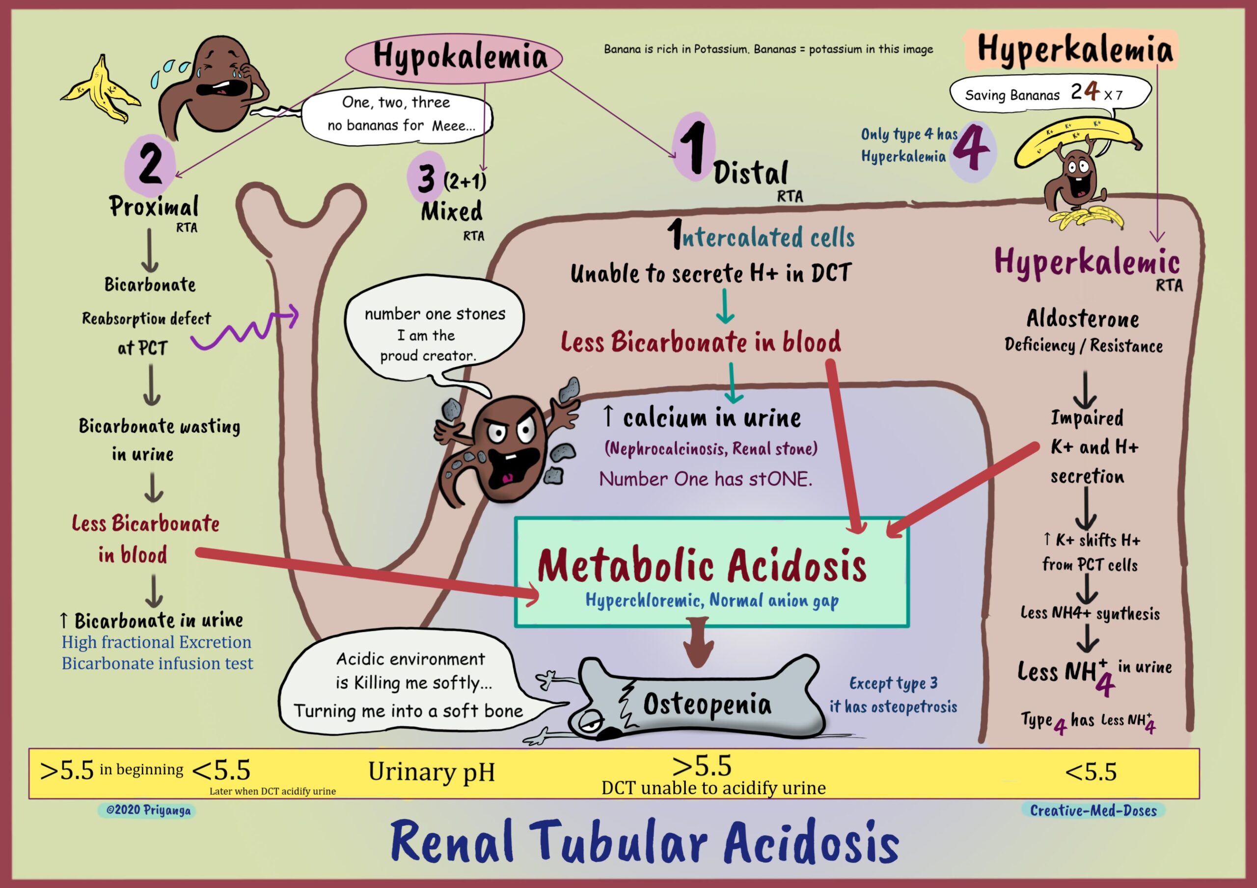 renal tubular acidosis