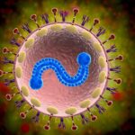 respiratory syncytial virus infection