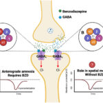 reversal of benzodiazepine-induced sedation