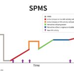 secondary progressive multiple sclerosis