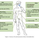 sedation as adjunct to anesthesia