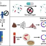 selective decontamination of the digestive tract